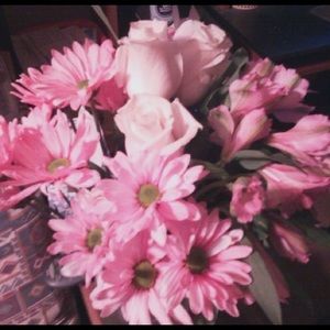 Meet your Posher, Heather